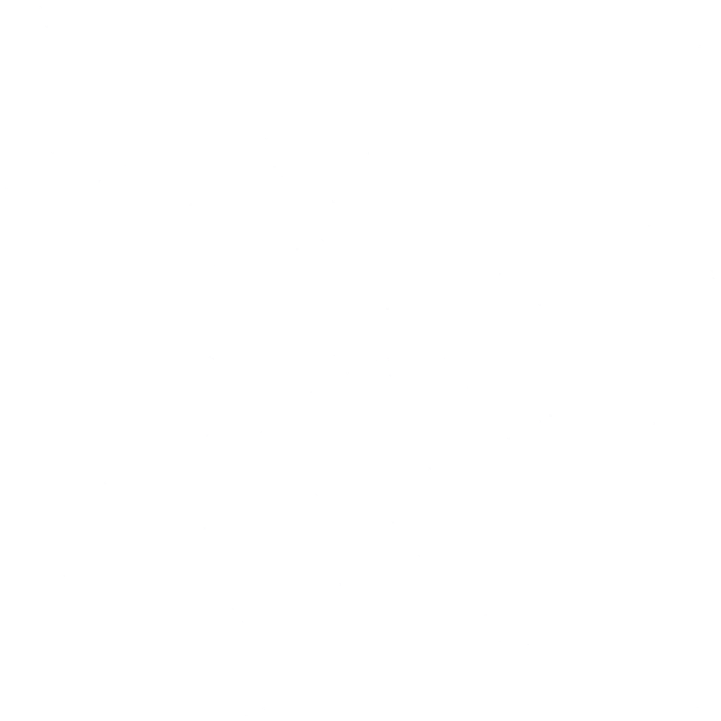 w40i001f01_carpet01.2