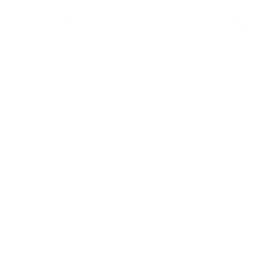 w50g_branch01_a.2
