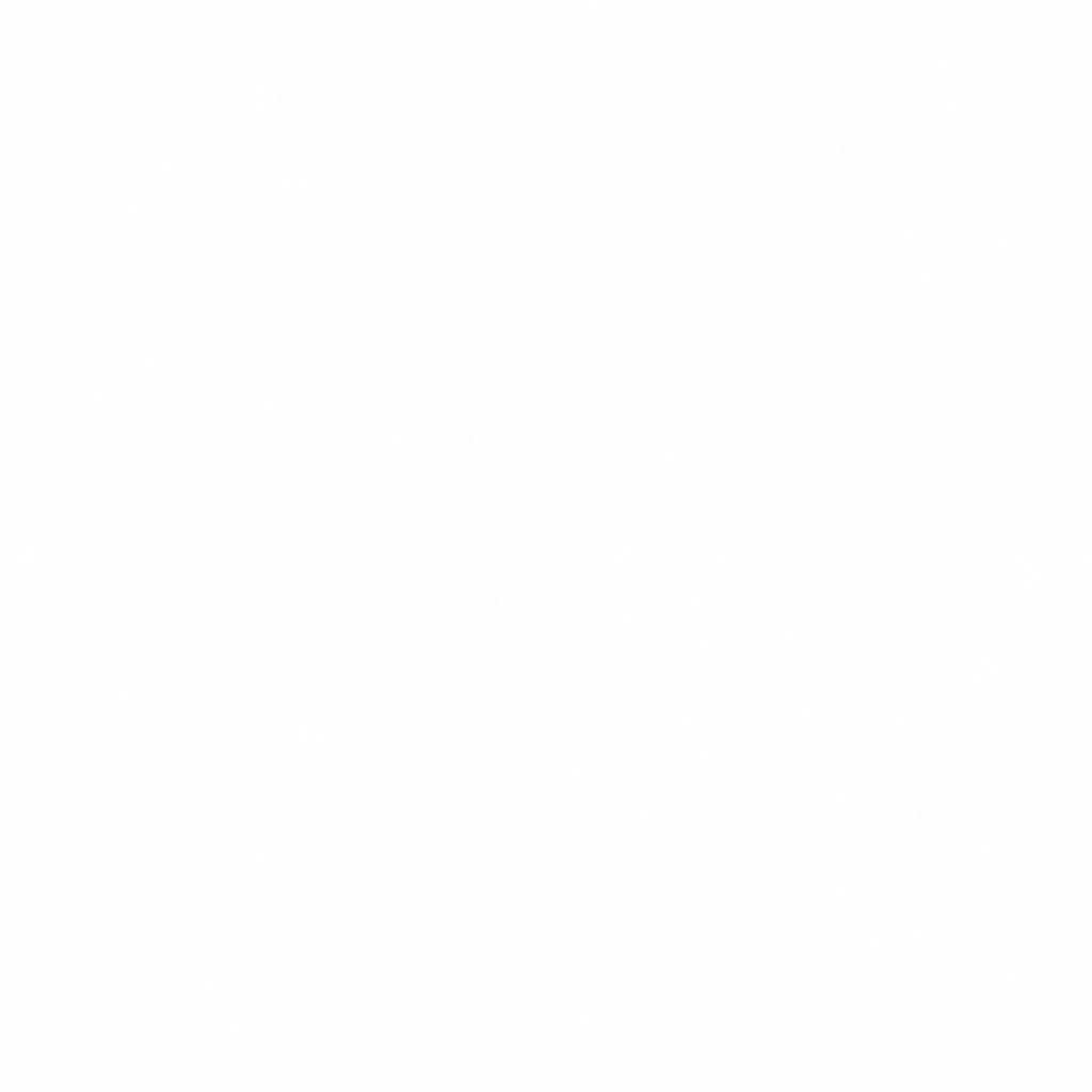 w50g_gr09_re.1