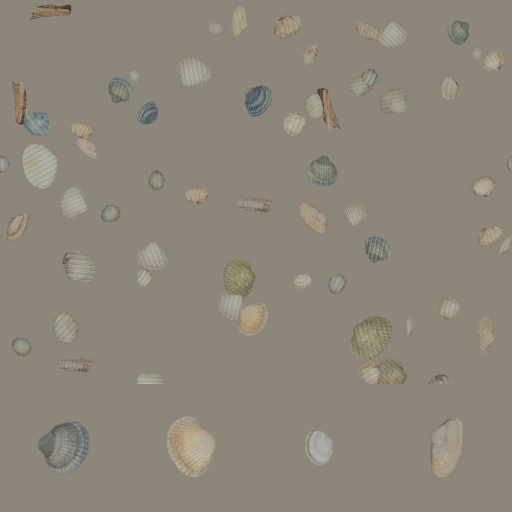 w50g_seashell01_a.1