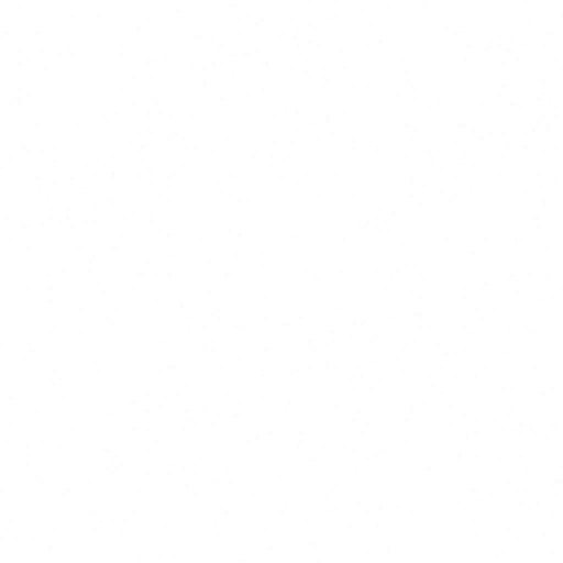 w50g_seashell02_a.2
