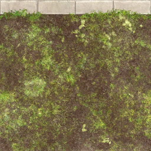 w50h001_gr01.1