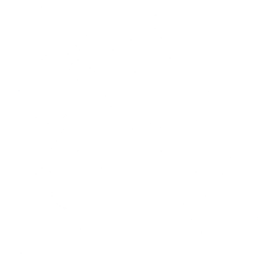 w50h001_stone01.2