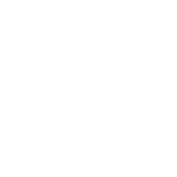 w50ai008_01.2