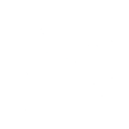 w50i001h01_stone01.2