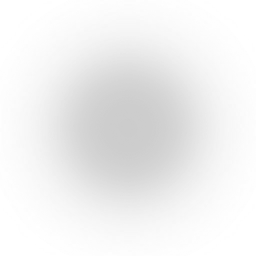 w50i001h04_light_1