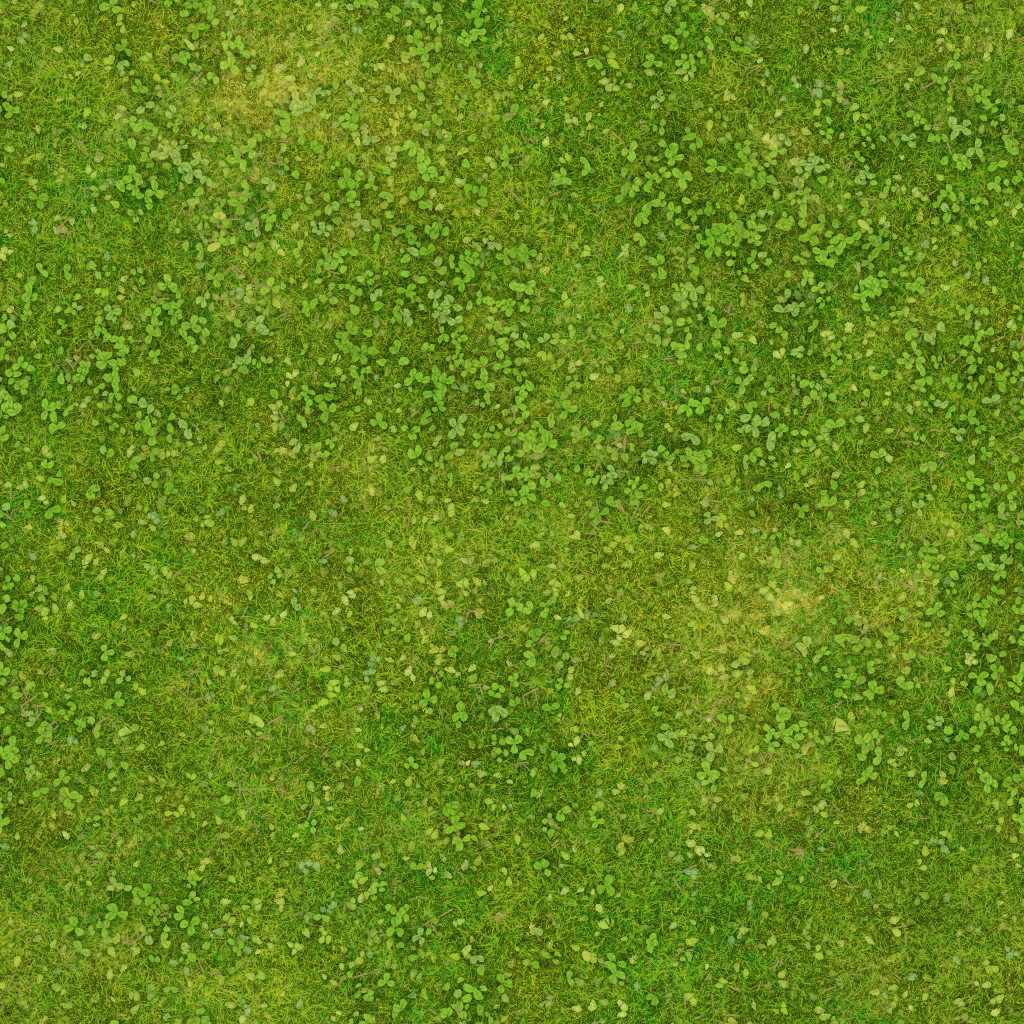 w51g_grass02_re.1