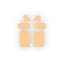 icon_present