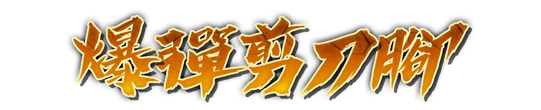 who00510